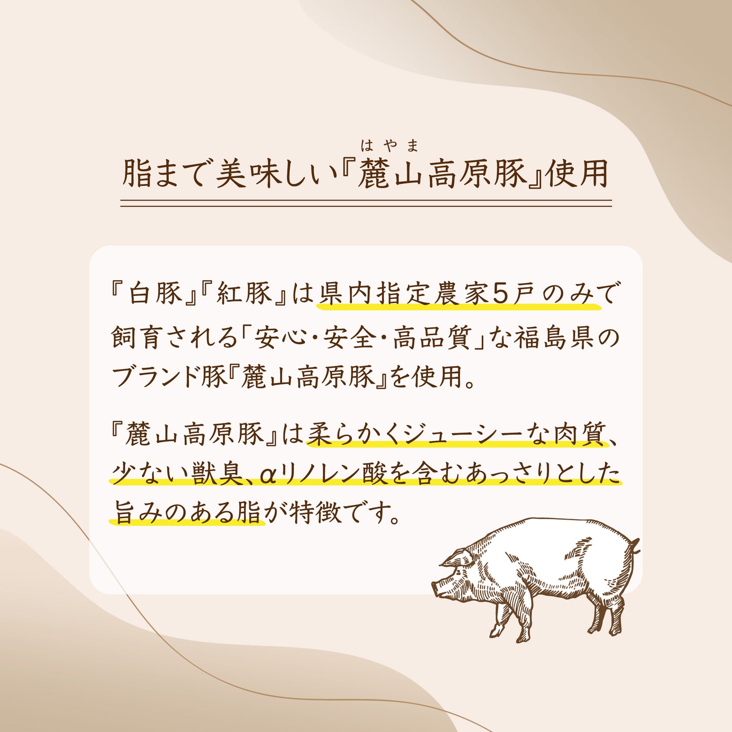 喜多方の専門店がつくる『本格喜多方チャーシュー麺セット』