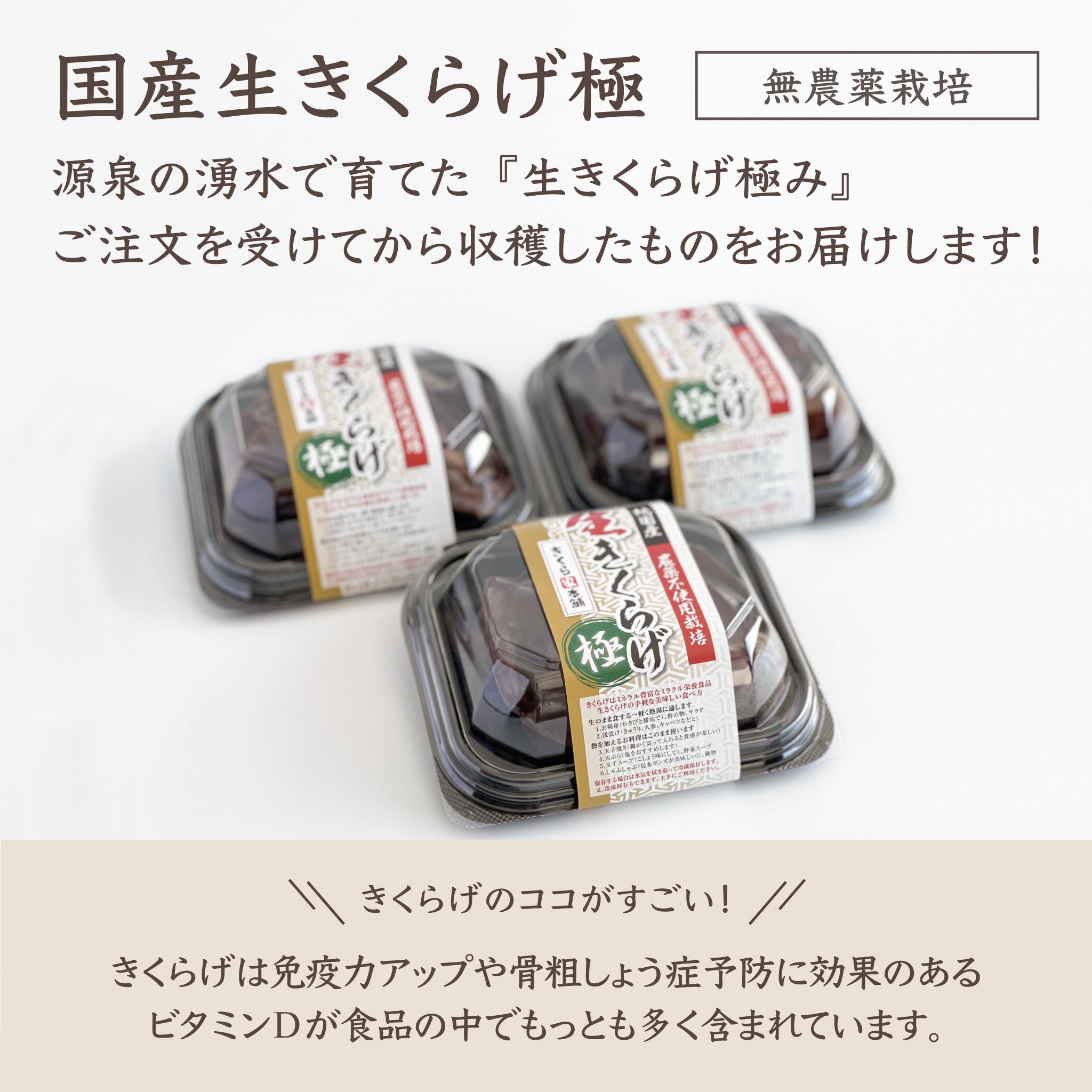 生きくらげ『極み』3個セット – findふくしまオンラインショップ