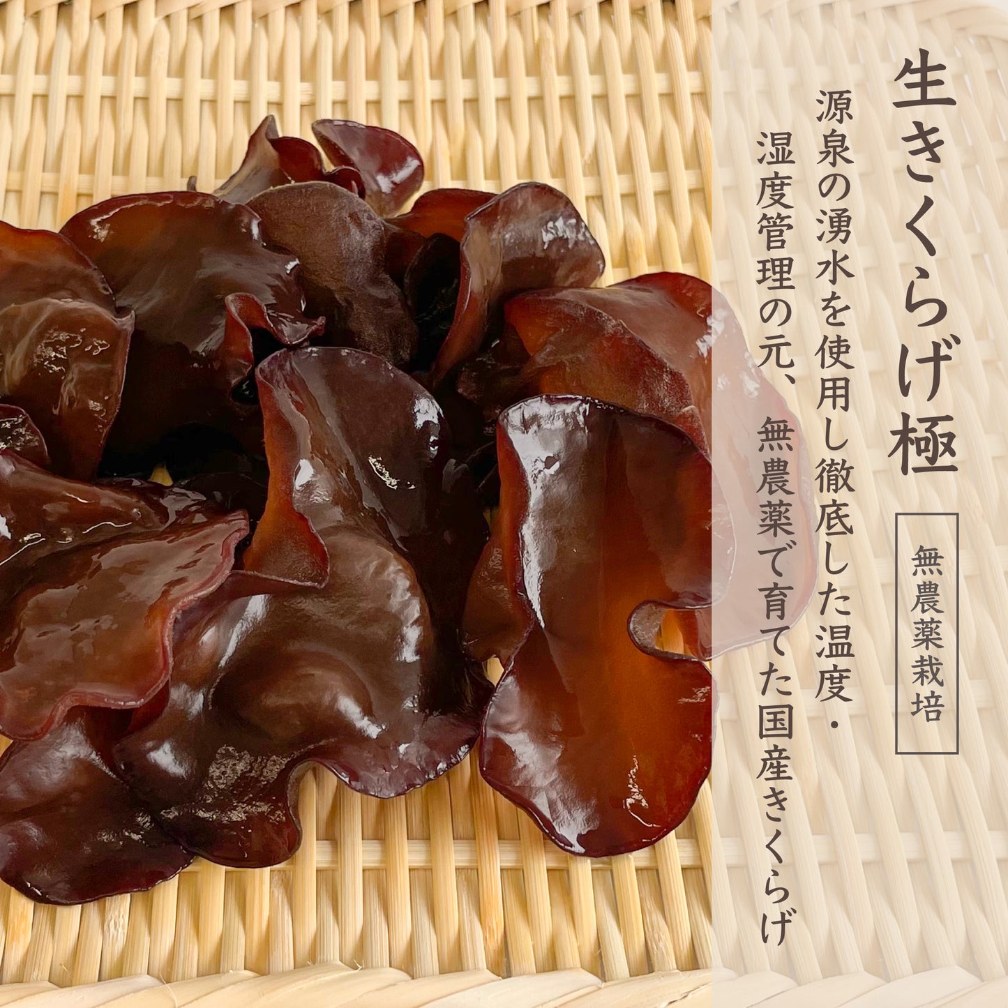 きくらげづくし詰め合わせ